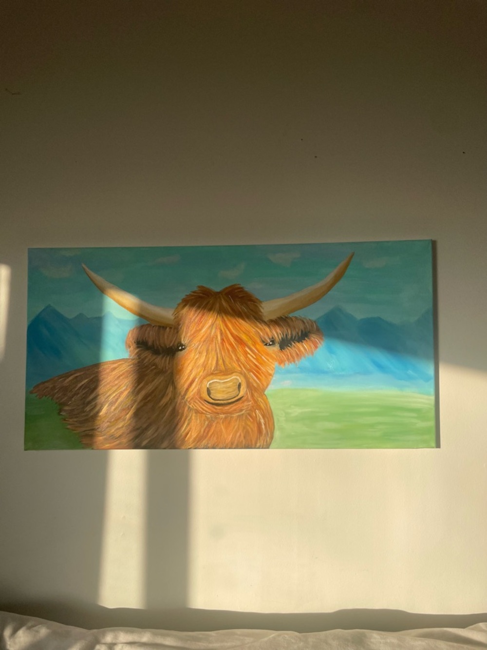 Highland gaze